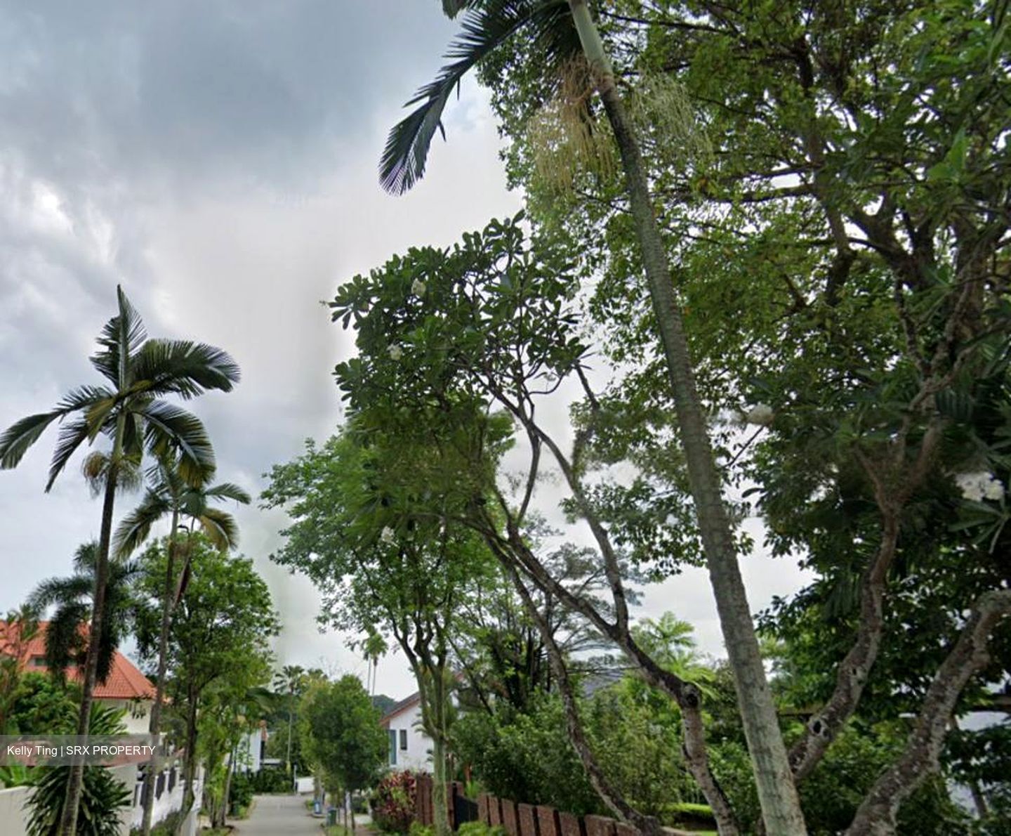 Wolskel Road (D13), Detached #480913751
